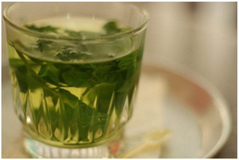 3 Herbs That Build Your Immune System
